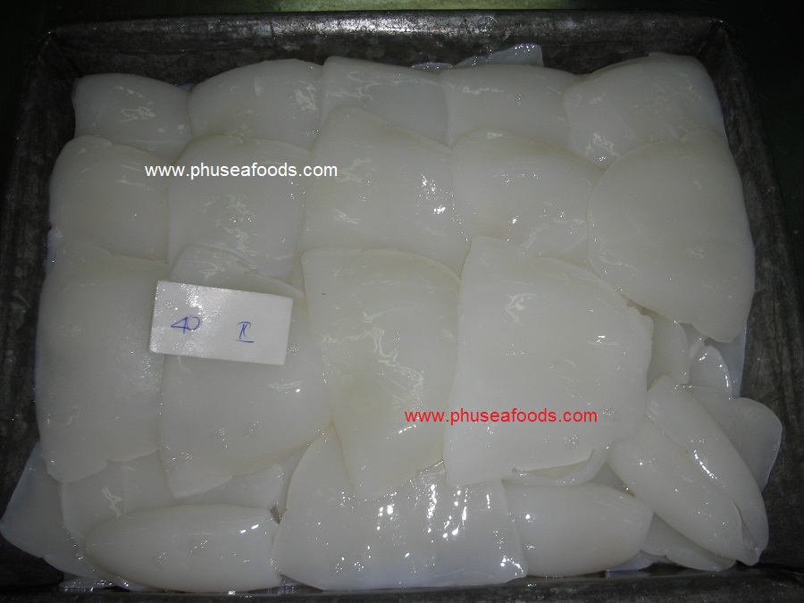 Block 2nd grade Cuttlefish Fillets before freezing
