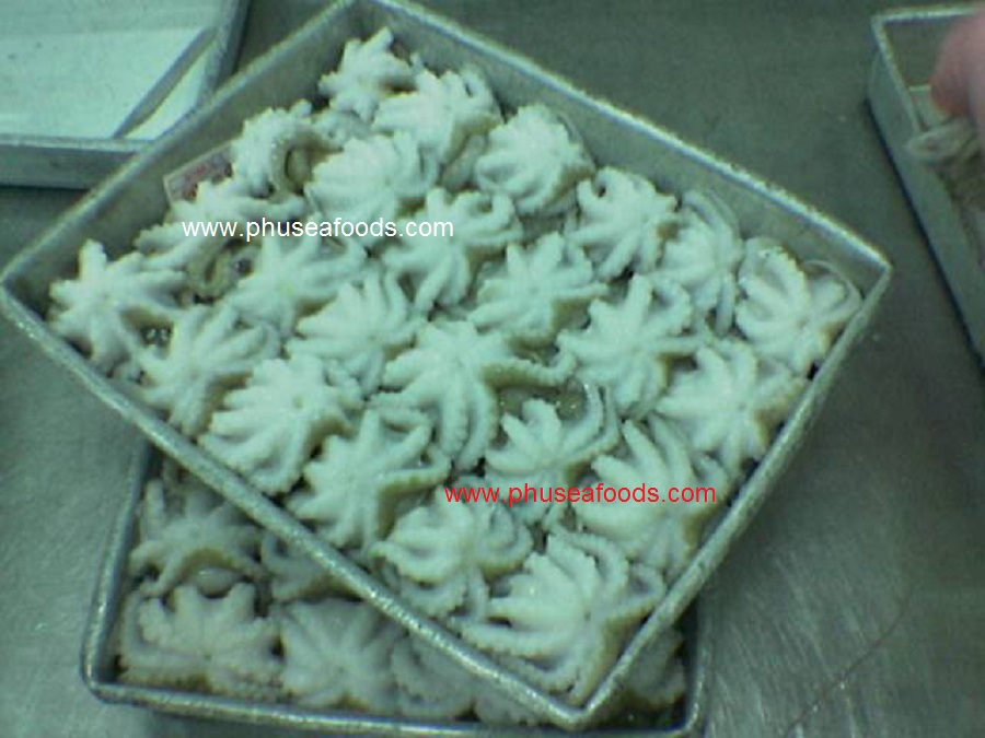 Block Single Skin Whole Cleaned Octopus to EU market_Before freezing