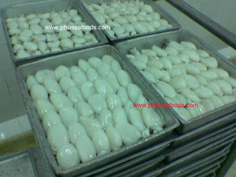 Block Whole Cleaned Baby Cuttlefish before freezing