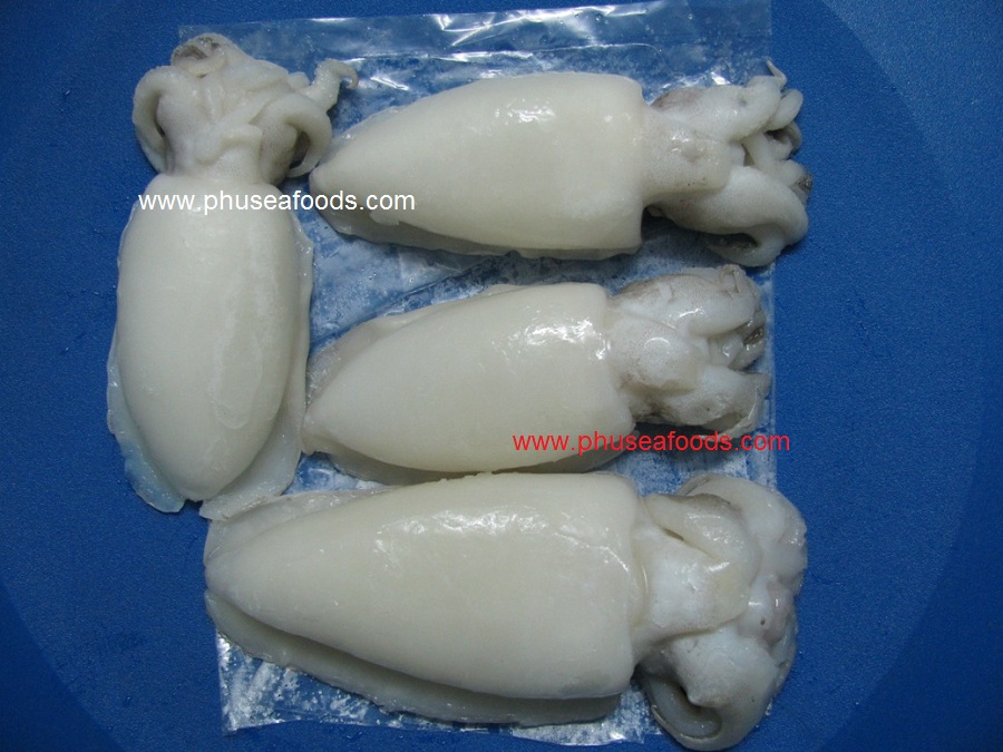 IQF Whole Cleaned Cuttlefish_EU market