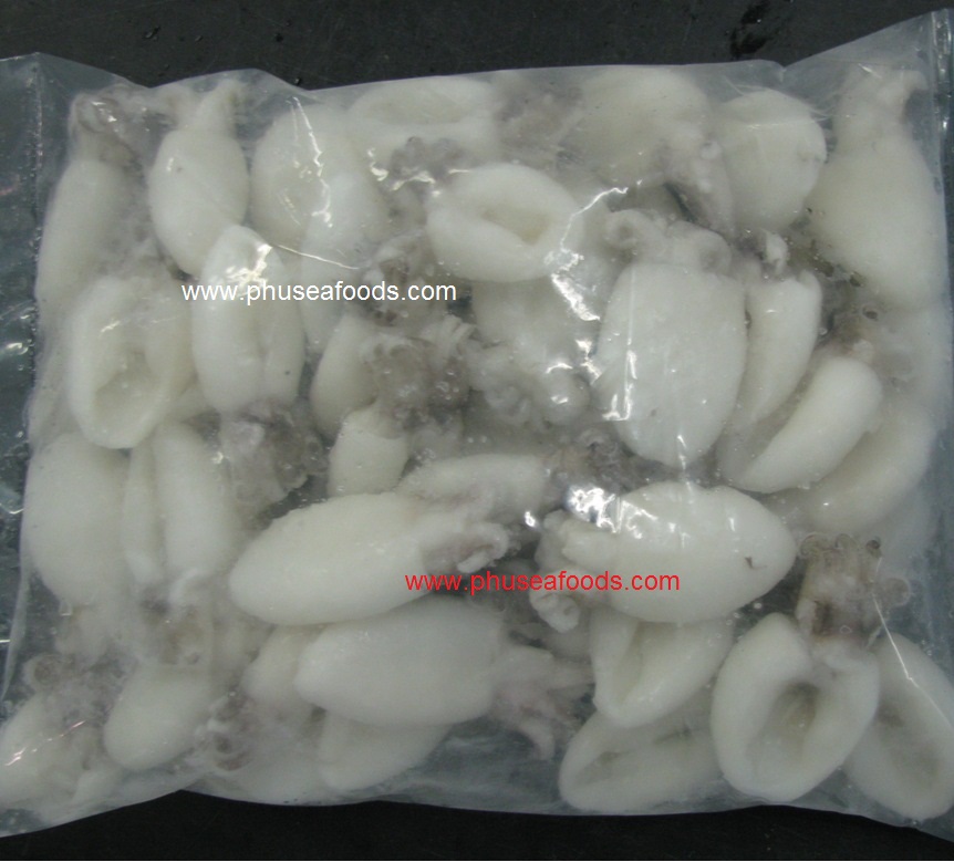 IQF Whole Cleaned Cuttlefish to EU