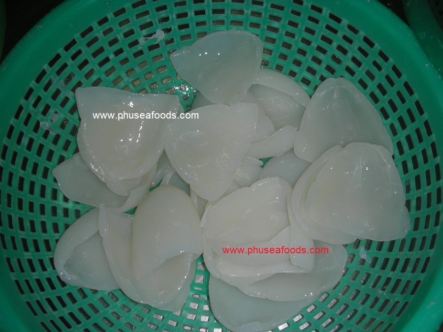 Raw 1st grade Cuttlefish Fillets