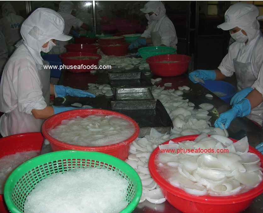Raw Cuttlefish Fillets on production step