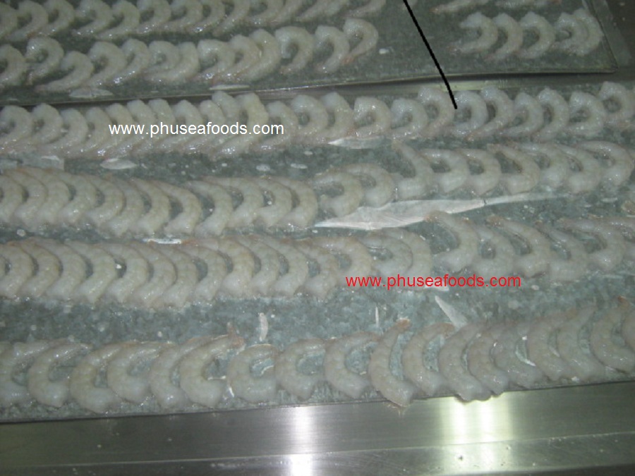 Raw PD White (Vannamei) Shrimp_Pic. 1