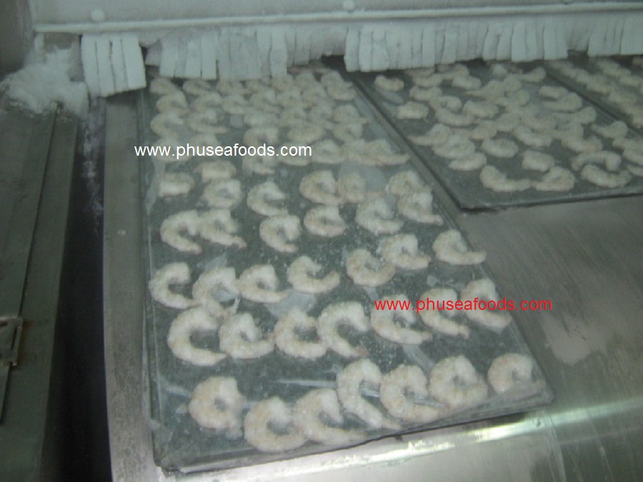 Raw PD White (Vannamei) Shrimp_Pic. 2