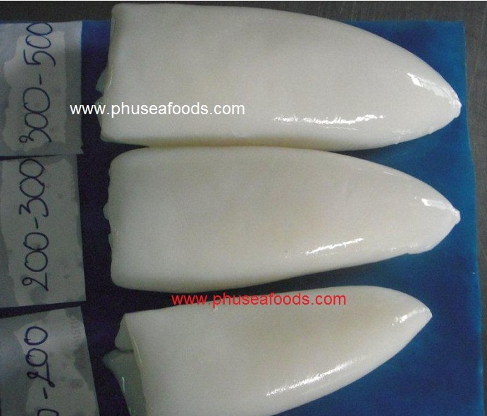 Raw Rolled Cuttlefish Fillets to HongKong market