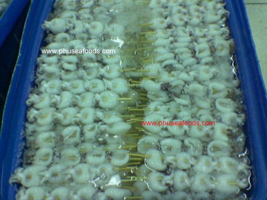 Raw Skewer Baby Cuttlefish before freezing
