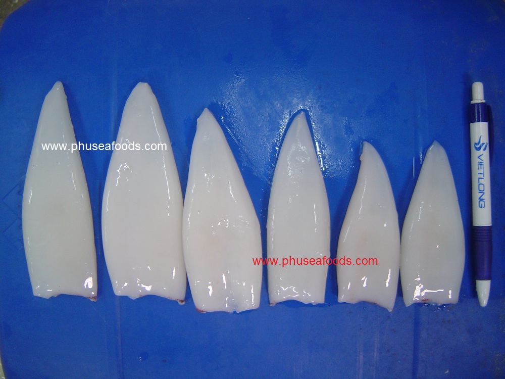 Raw Squid Tube_Skinless
