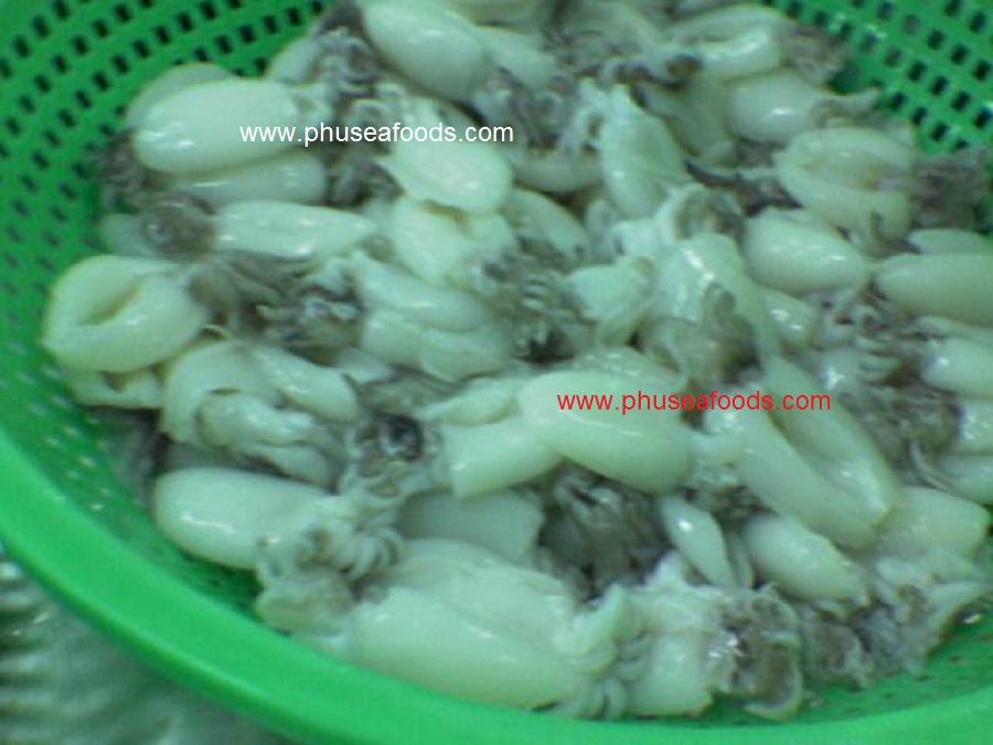 Raw Whole Cleaned Baby Cuttlefish