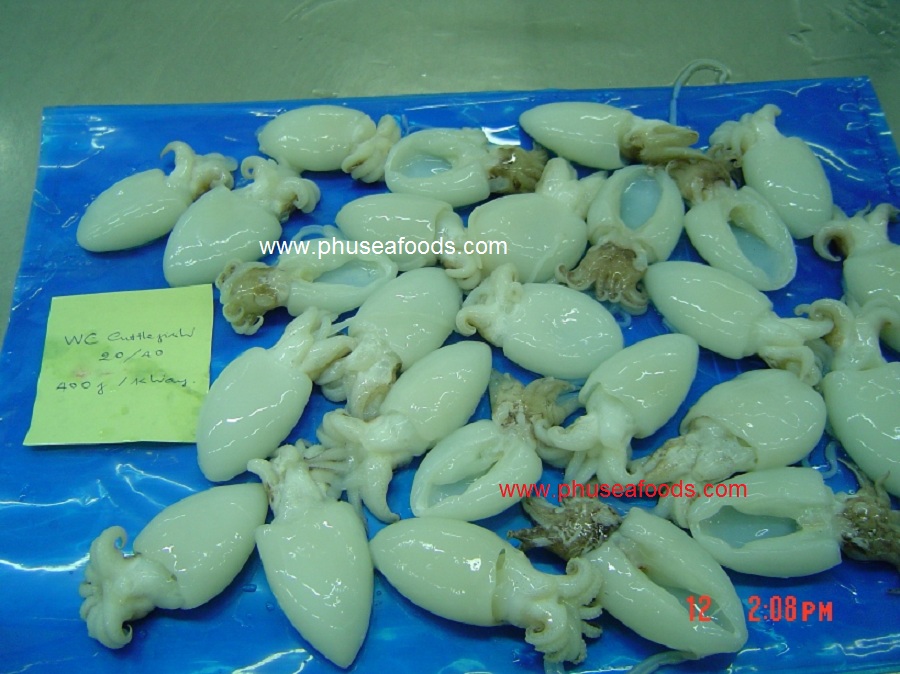 Raw Whole Cleaned Cuttlefish