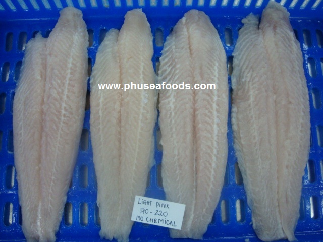 Pangasius fillets without soaking before freezing