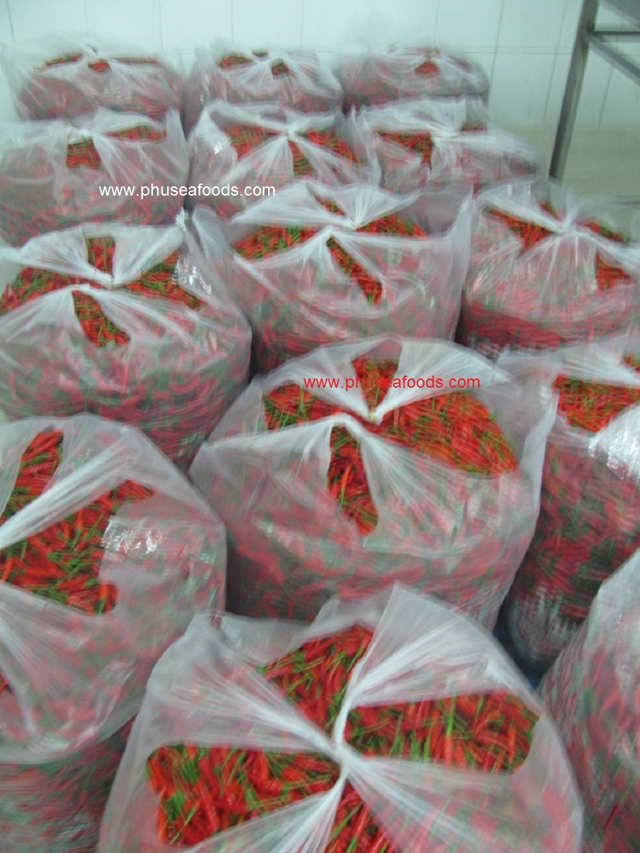 Raw Material of Chilli
