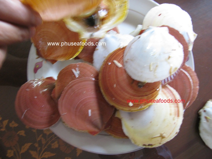 Whole pieces of Scallop