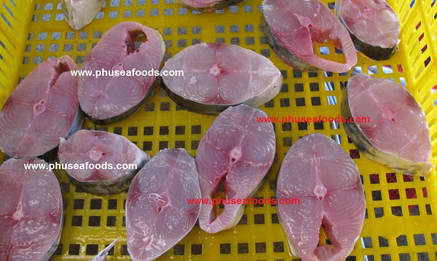 Spanish Mackerel Steak before freezing