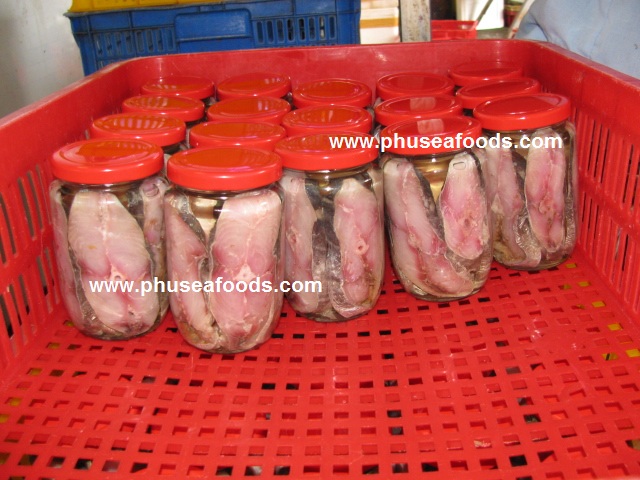 Oiled Salty Spanish Mackerel Fish