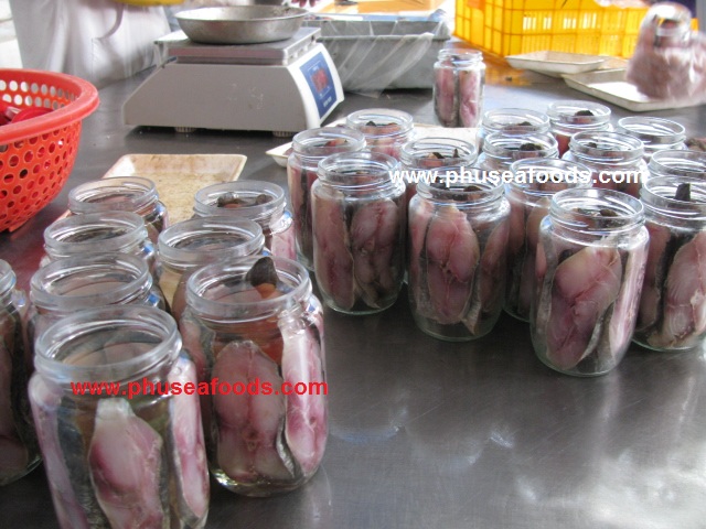 Salty Spanish Mackerel Fish before Oiling