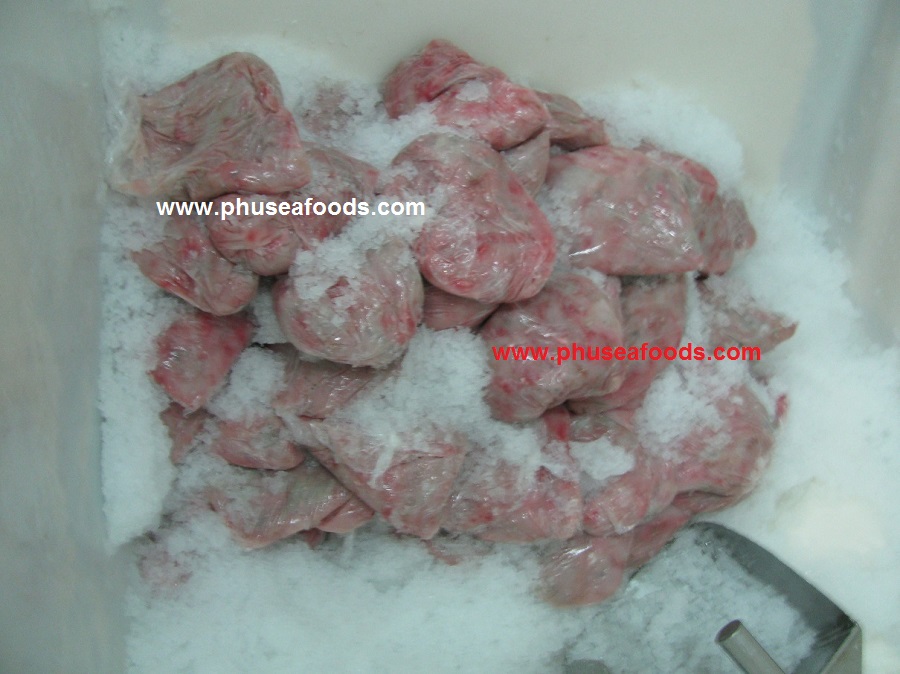 Featherback Fish Paste before Weighting step