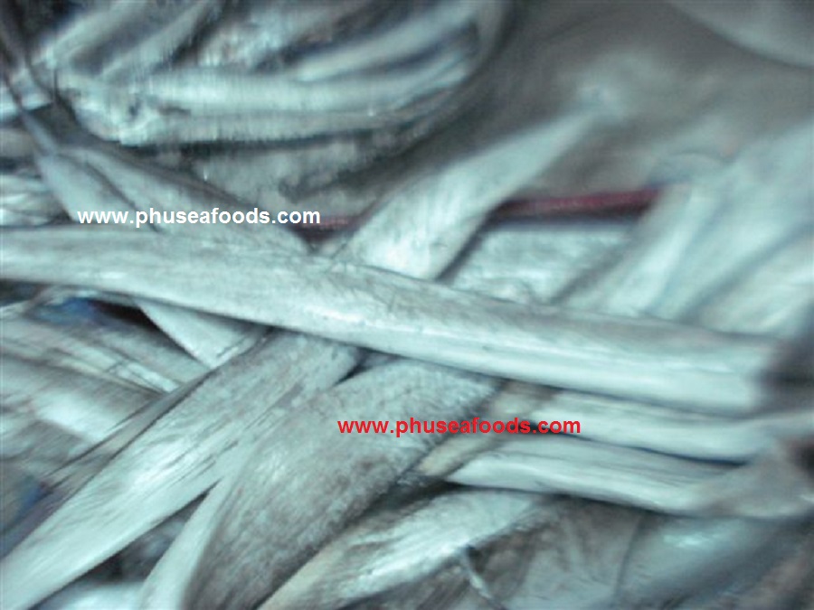 Hairtail fish on processing line